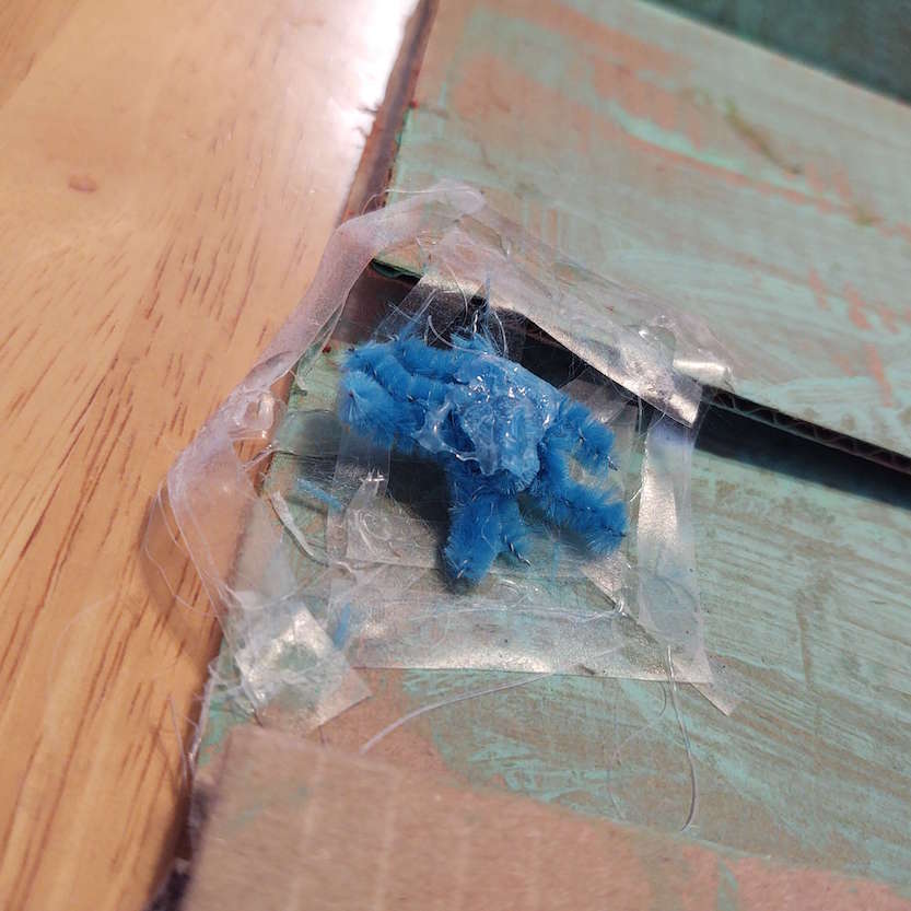 spider craft